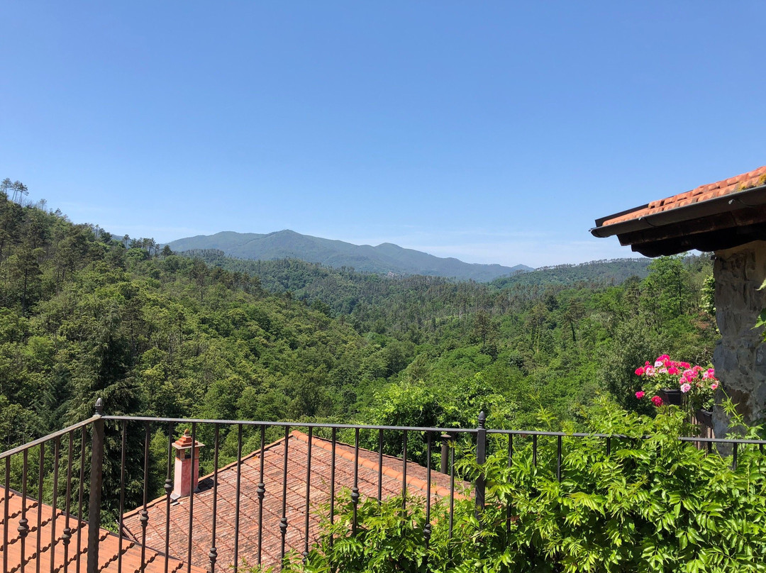 B&B Il Tulipano主图