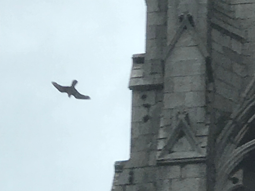 St Walburge's Church景点图片