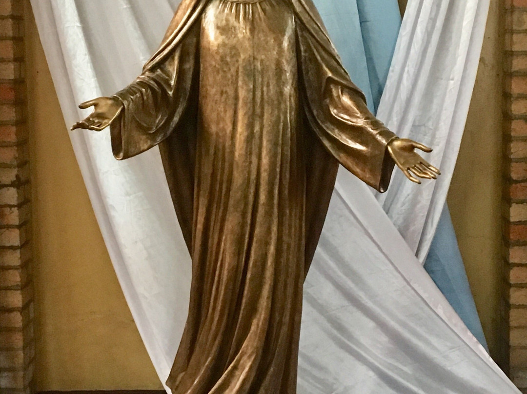 Cathédrale Notre-Dame Du Congo景点图片