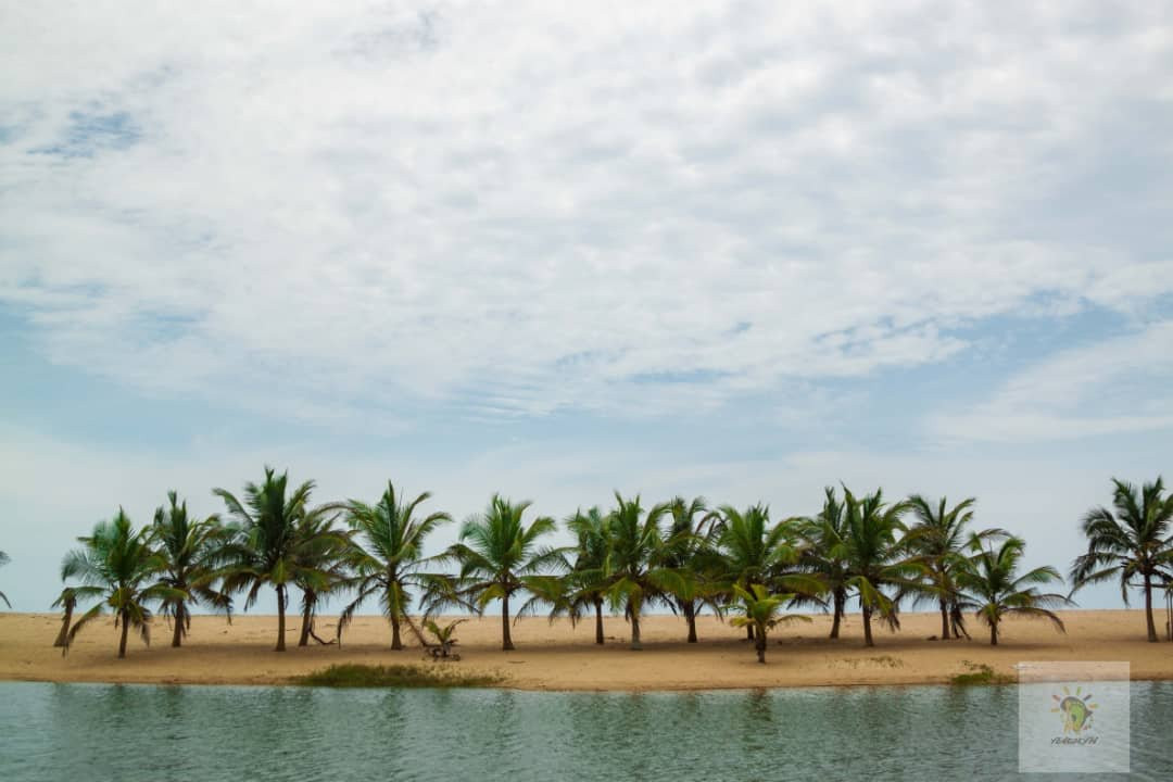 Dzita旅游攻略图片