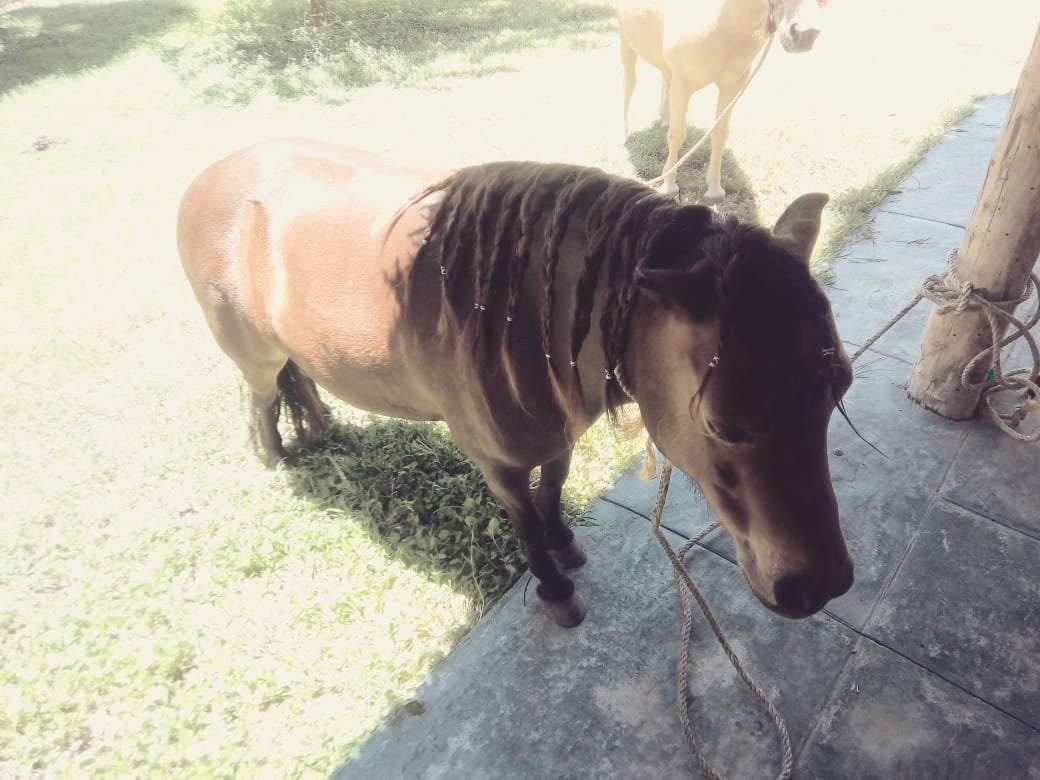 Gran Hotel Las Fuentes主图