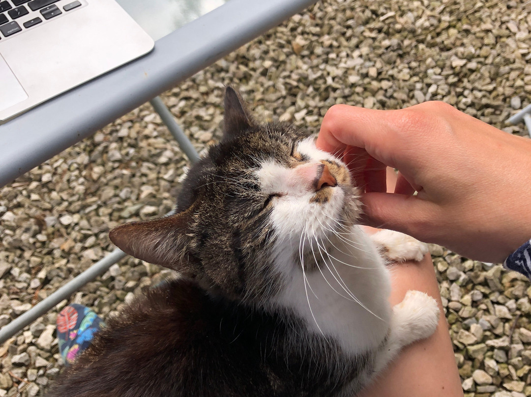 The Rooms at Grayfield主图