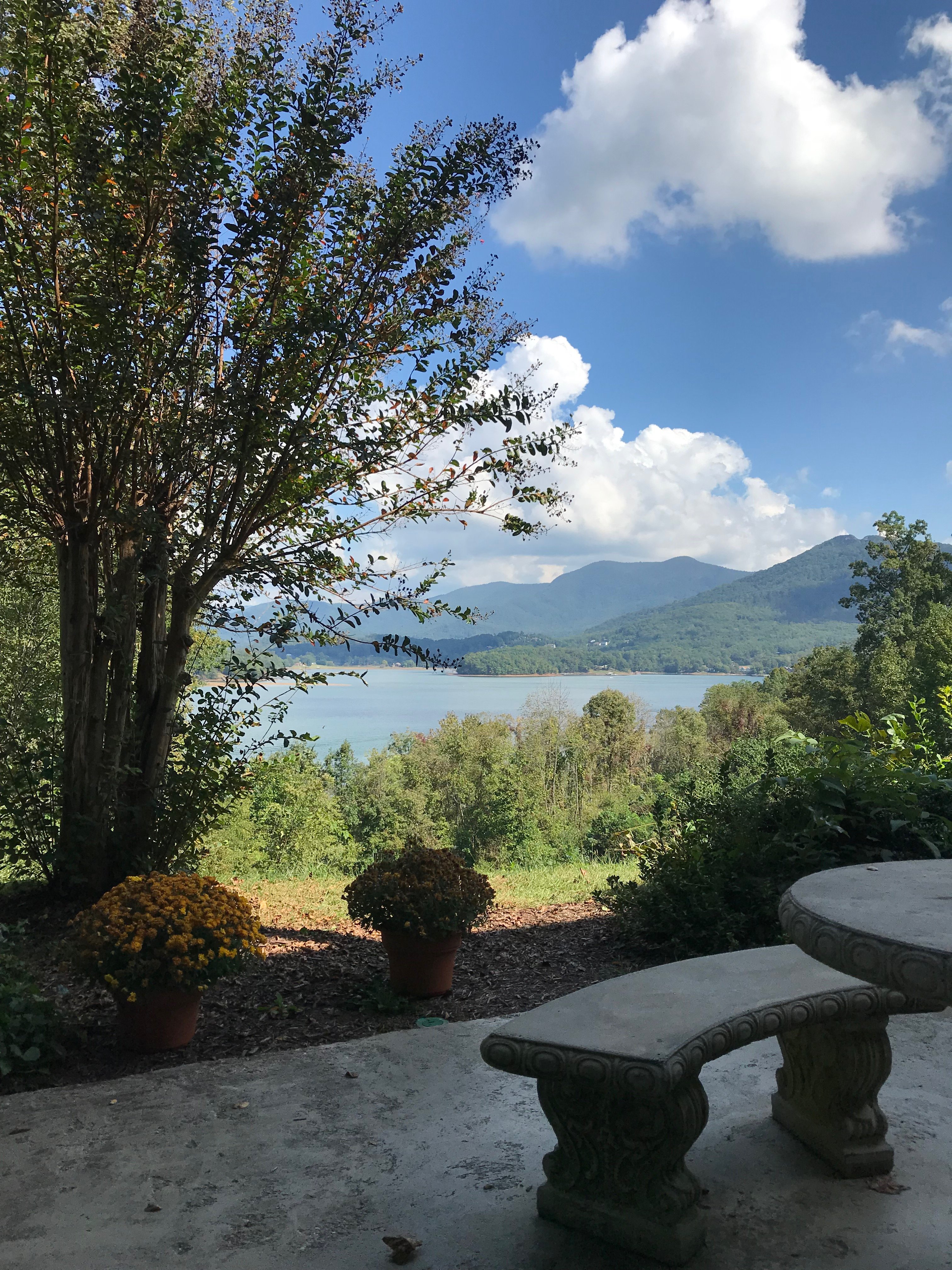 Lake Chatuge Lodge-浴室