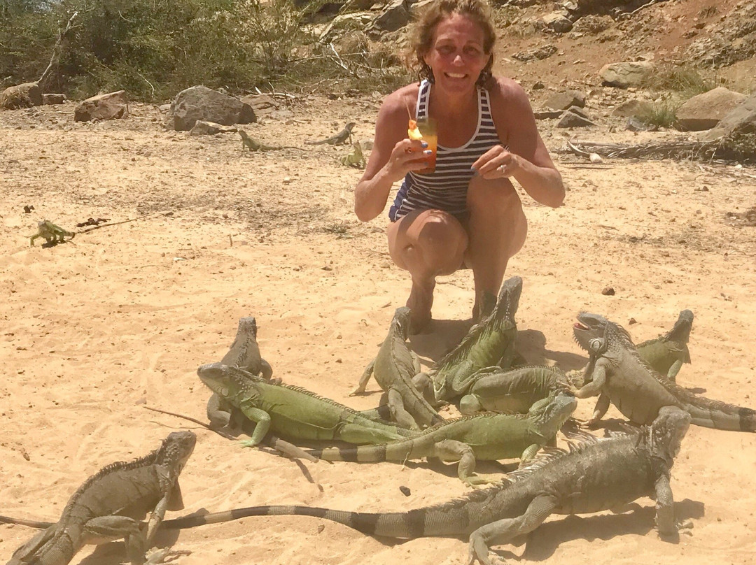 Coconut Reef Power Boat Tours & Charters-辛普森湾必去景点