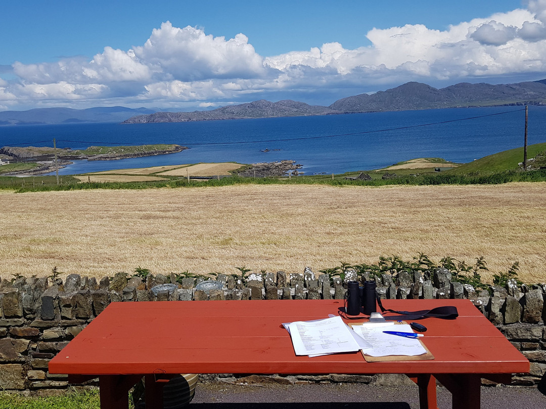 Harbour View Bed and Breakfast主图