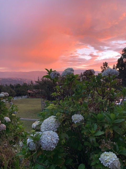 The Lazy Dog Inn a Mountain Lodge主图