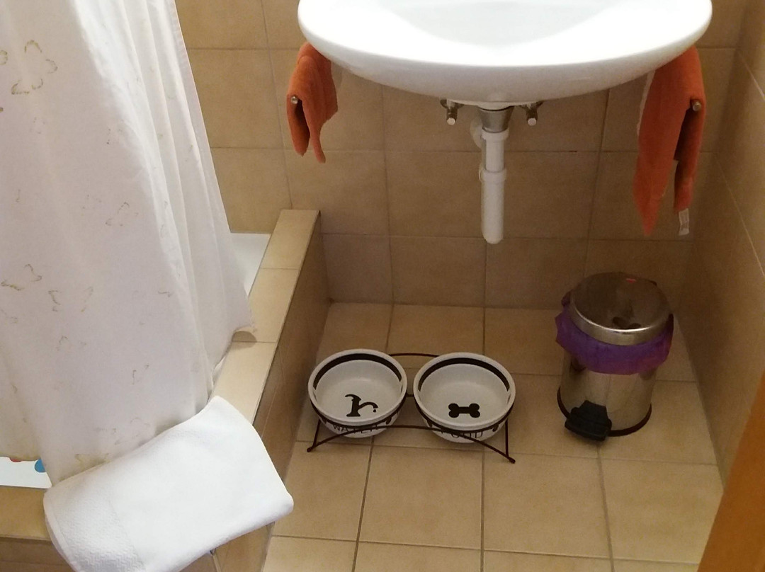 Hotel Gravas Lodge主图