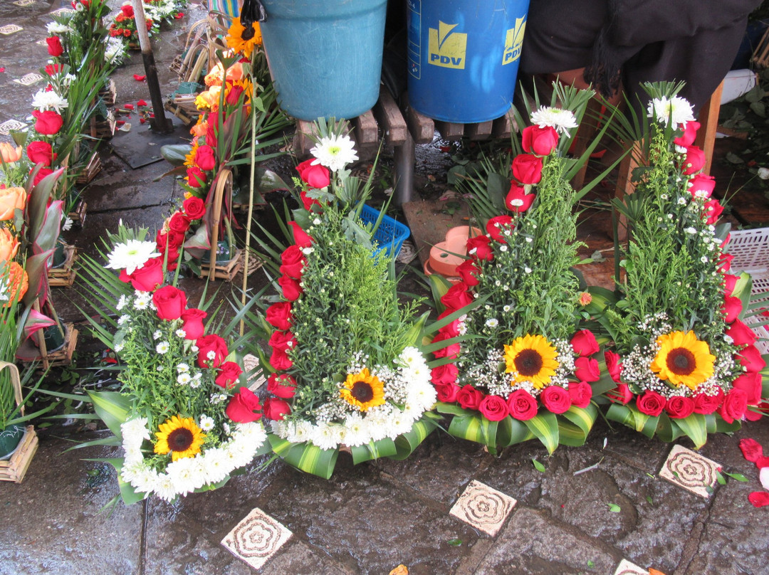 Plaza de las flores景点图片