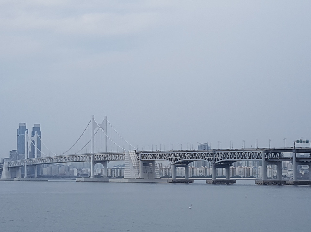广安大桥景点图片
