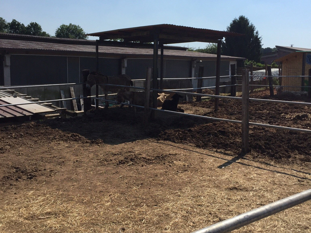 Birba Ranch-Tregasio必去景点