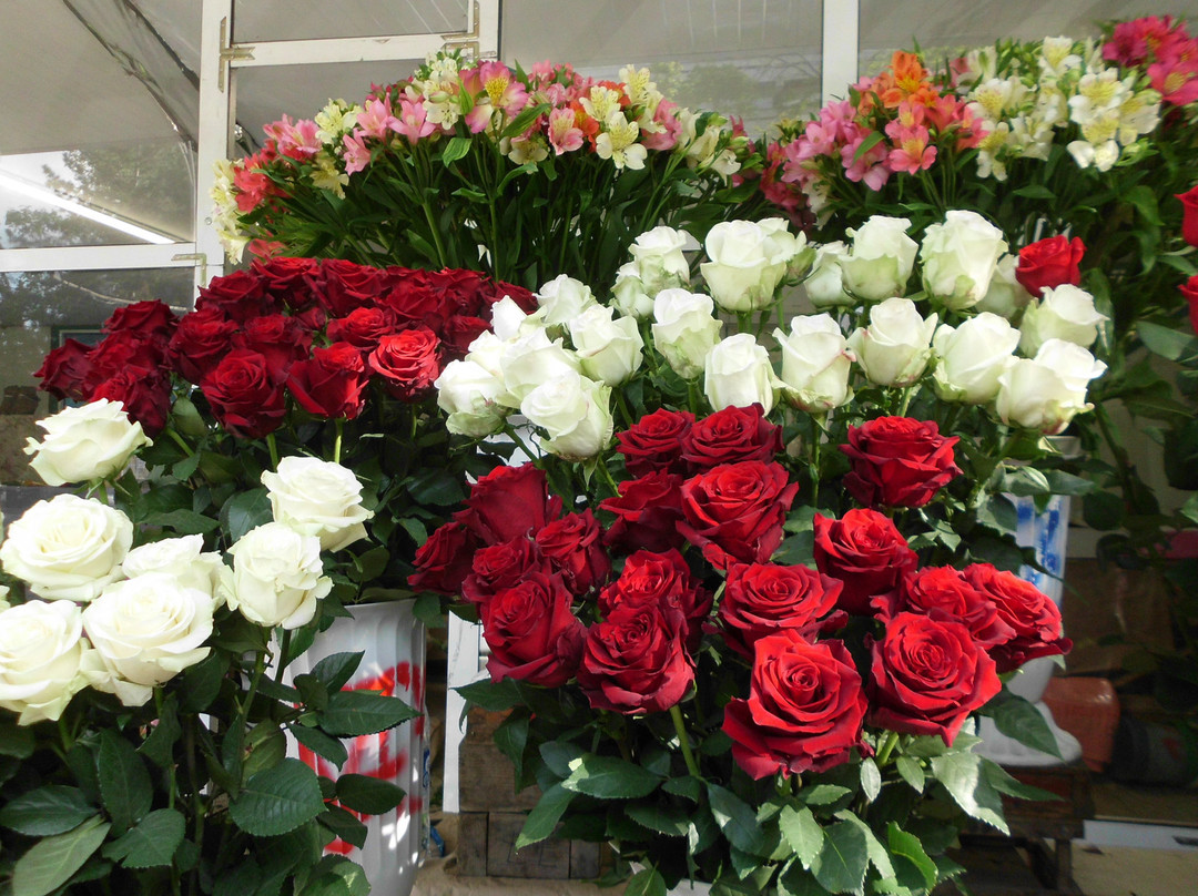 周末精品酒店主图