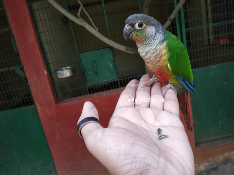 Prani, The Pet Sanctuary-班加罗尔必去景点