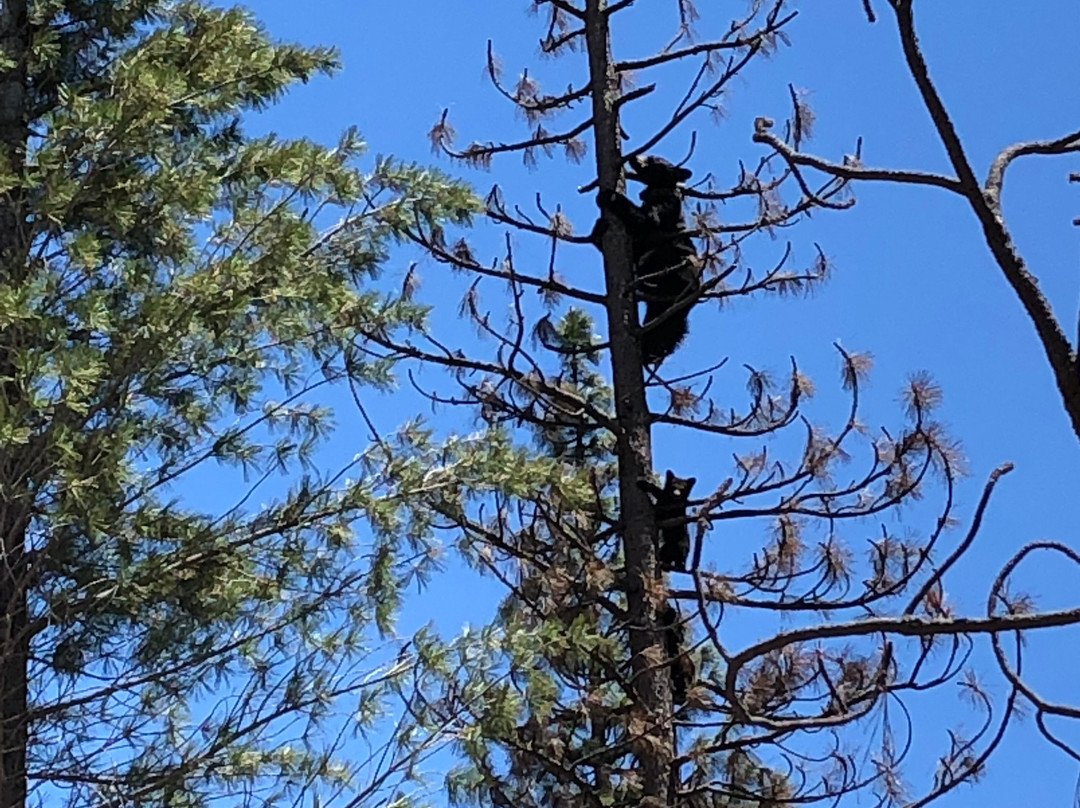 Mist Falls-Hume必去景点
