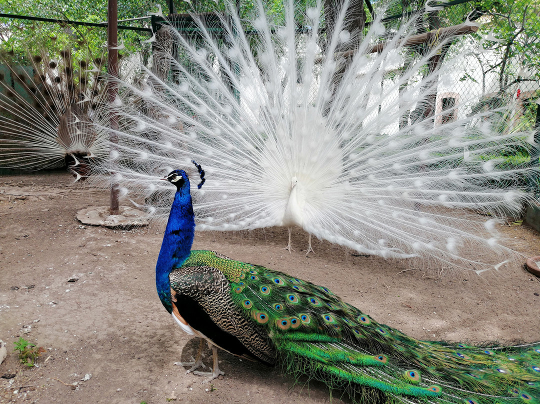 Museo de las Aves-萨尔蒂必去景点