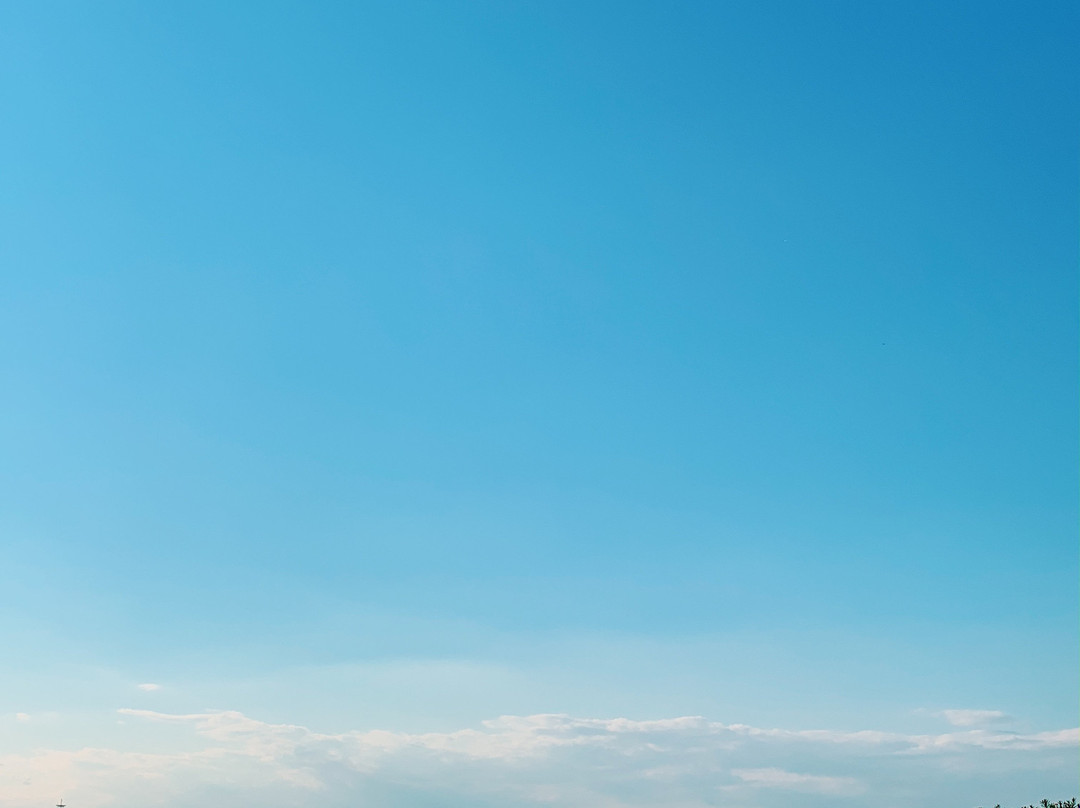 Gotanda Toc-品川区必去景点