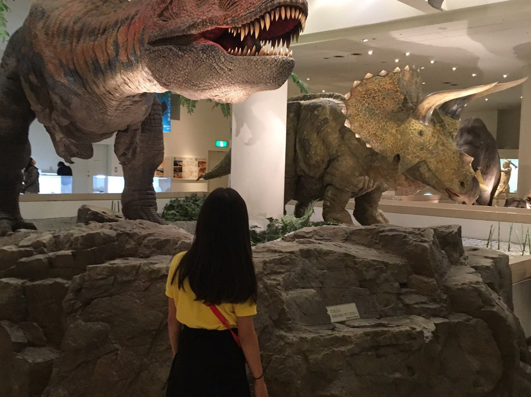 Ehime General Science Museum-新居滨市必去景点