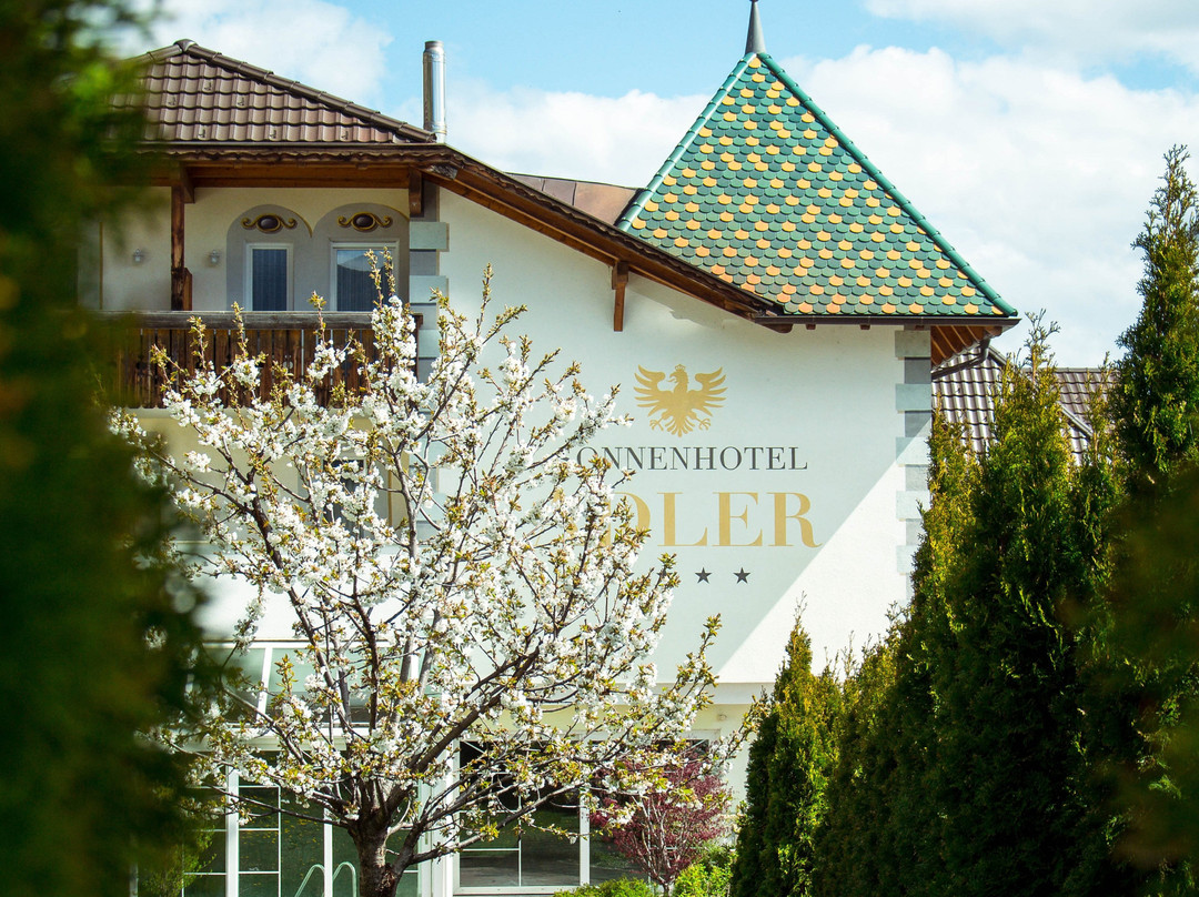 Sonnenhotel Adler主图