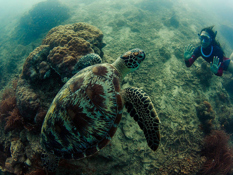Freediving Society-雅加达必去景点