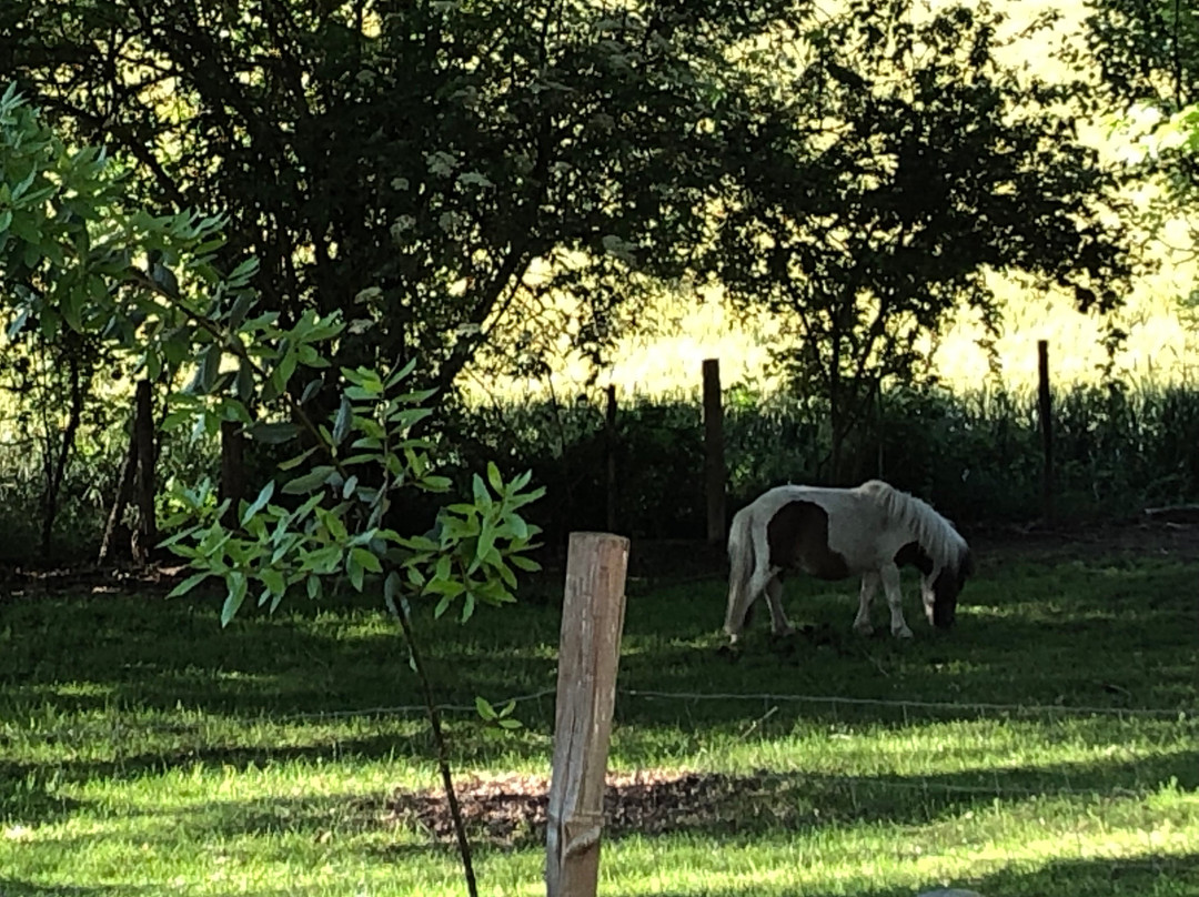 Domaine du Cauze主图