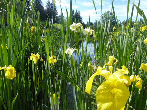 Mount Brenton Golf Course-Chemainus必去景点