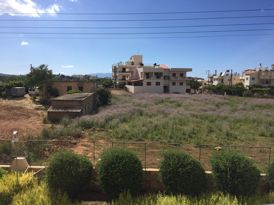 Hotel Kedrissos主图