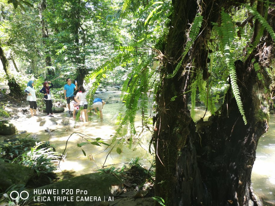 Sungai Congkak Recreational Forest景点图片