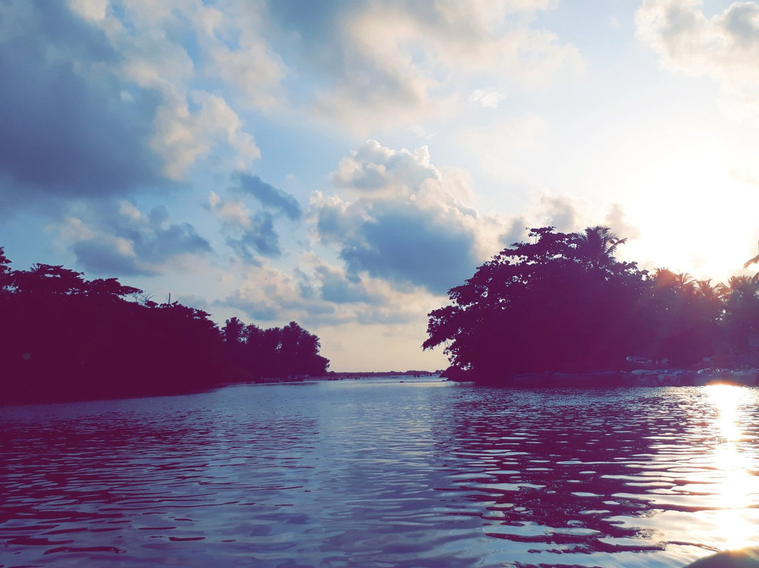 Nilwala River Safari-巴拉碧提雅必去景点