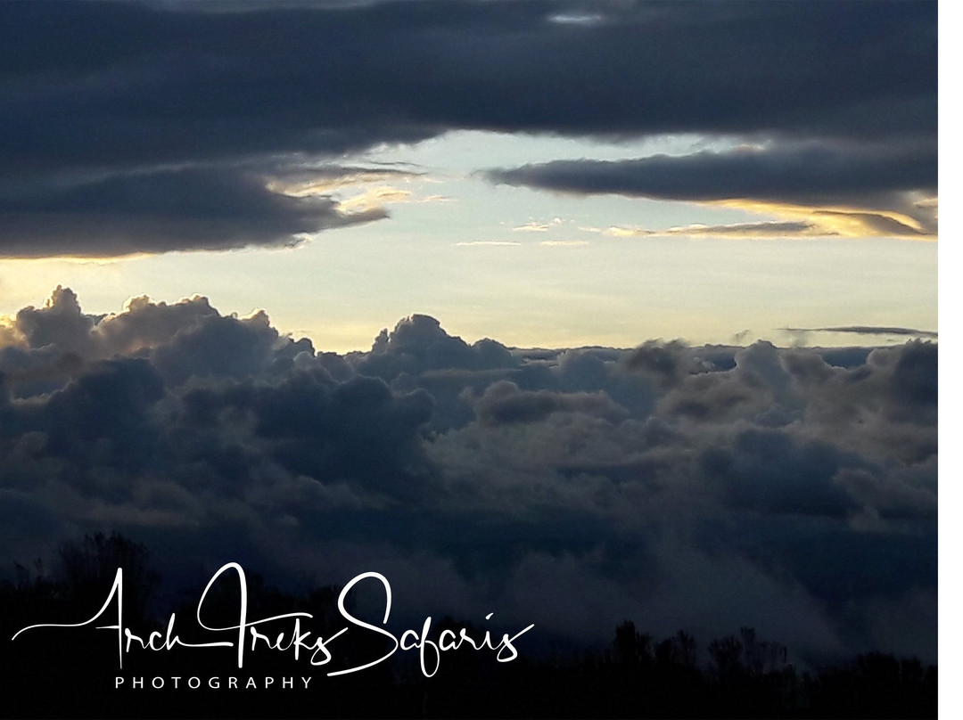 null-阿伯德尔国家公园