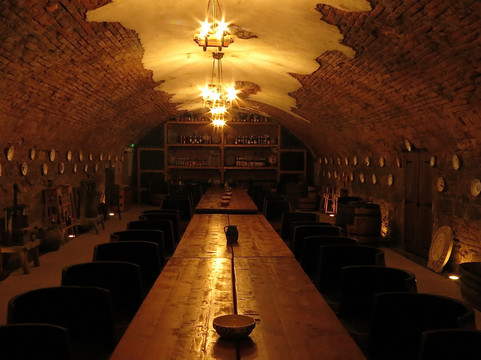 玛丽亚特雷莎科纳库尔酒店主图