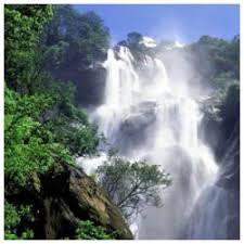 null-Udzungwa Mountains National Park