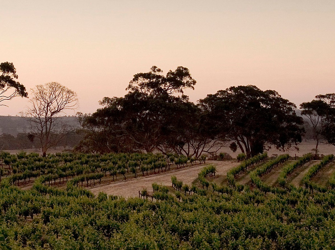 Knappstein Enterprise Winery-克莱尔必去景点