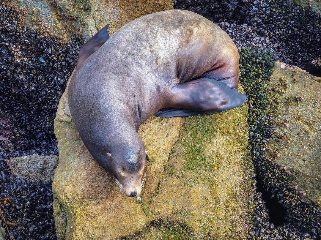 Breakwater-蒙特雷必去景点
