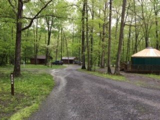 Shawnee State Park景点图片