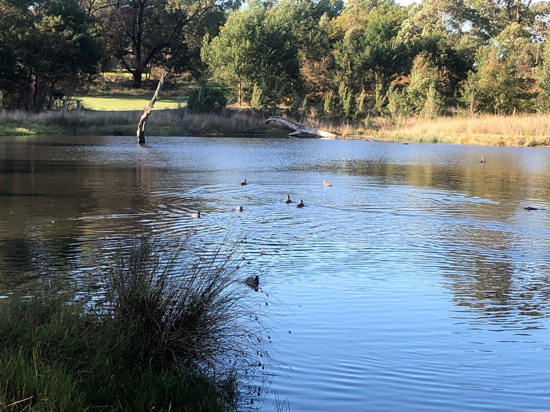 Yumarrala Wetlands景点图片