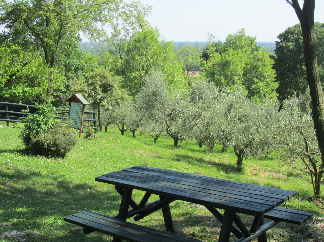Parco Rurale di San Floriano景点图片