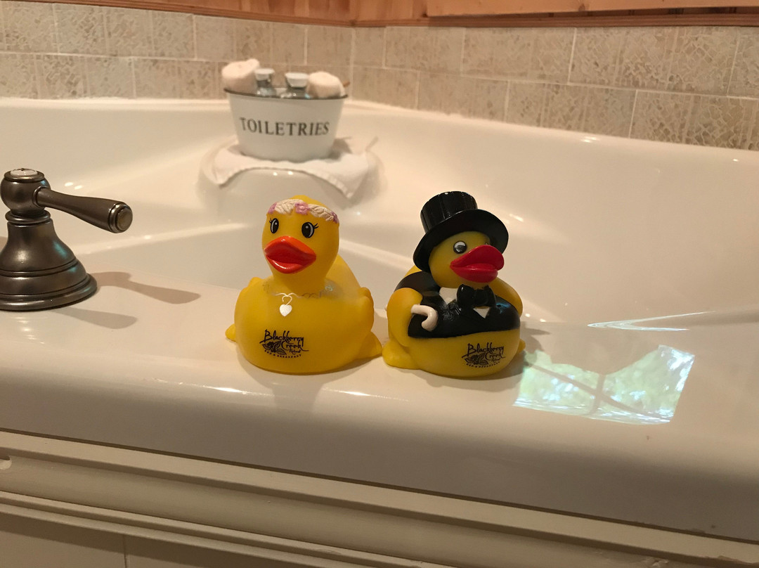 Blackberry Creek Retreat主图