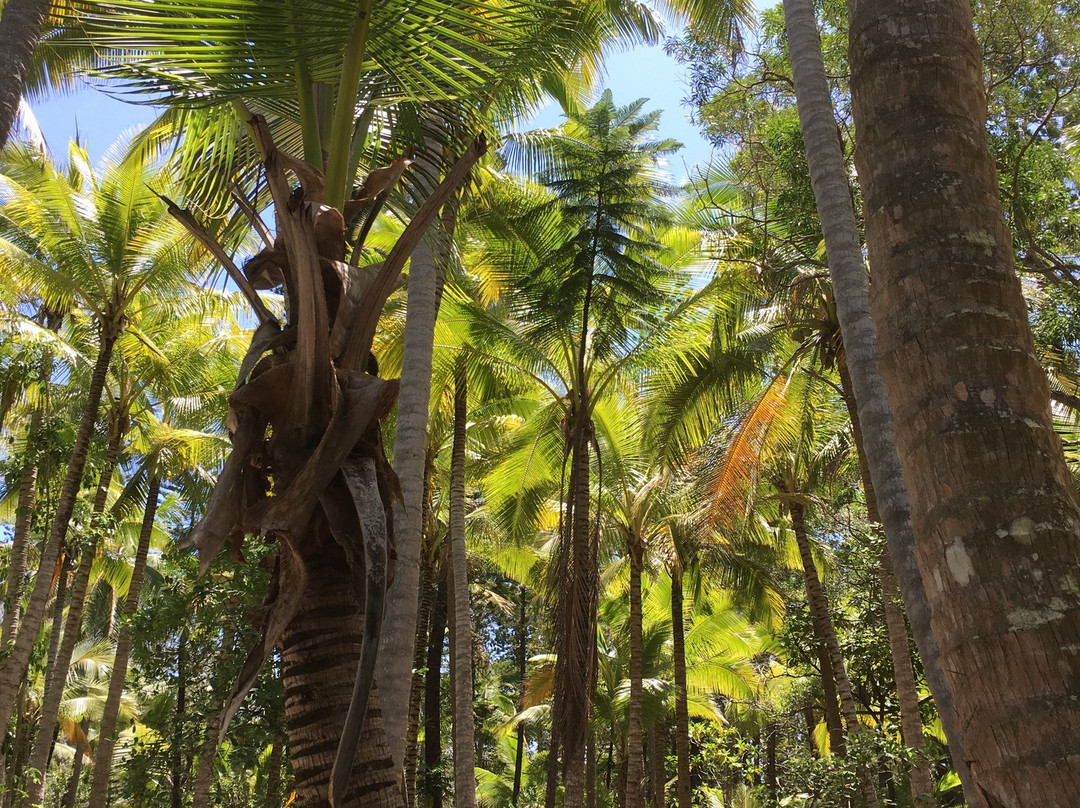 Oro Bay-Ile Des Pins必去景点
