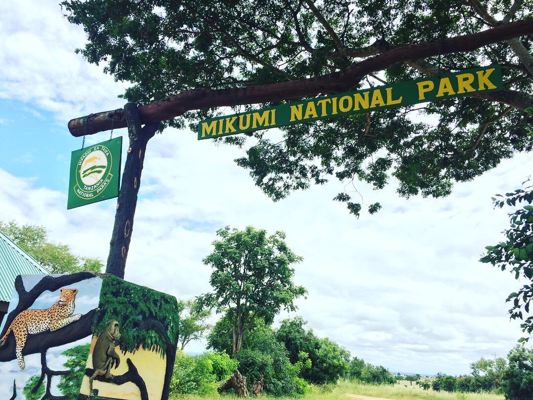 Mikumi Wildlife Camp-浴室