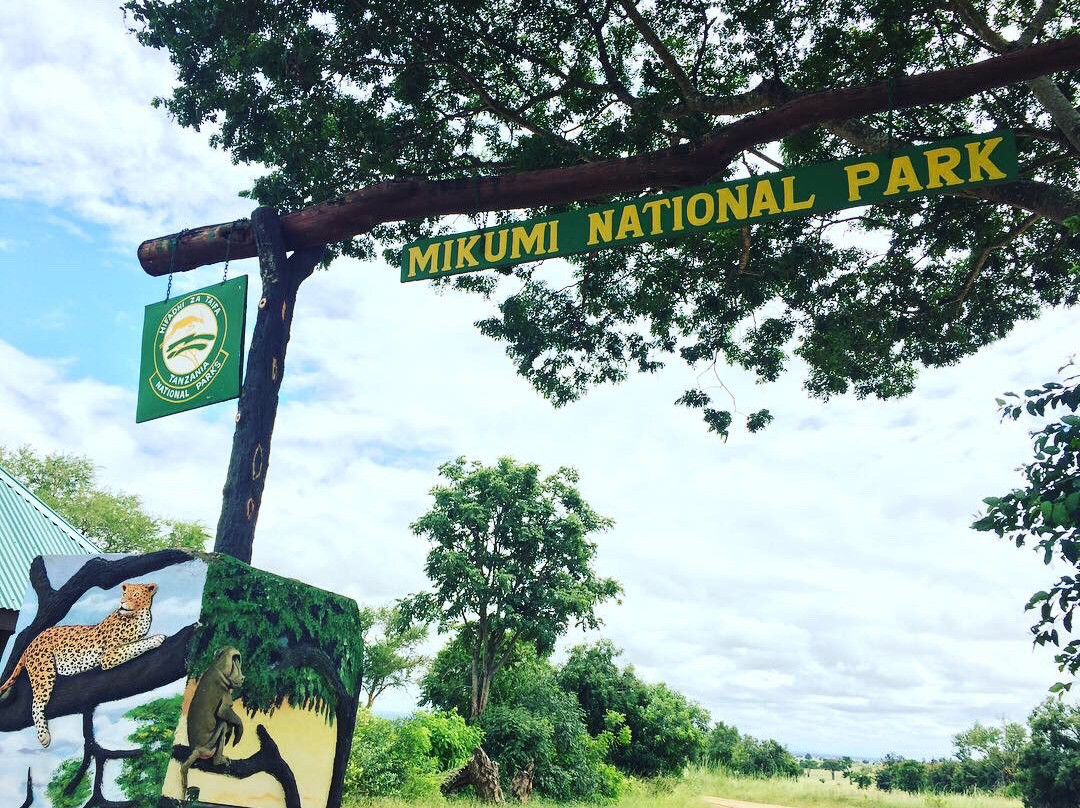 Mikumi Wildlife Camp主图