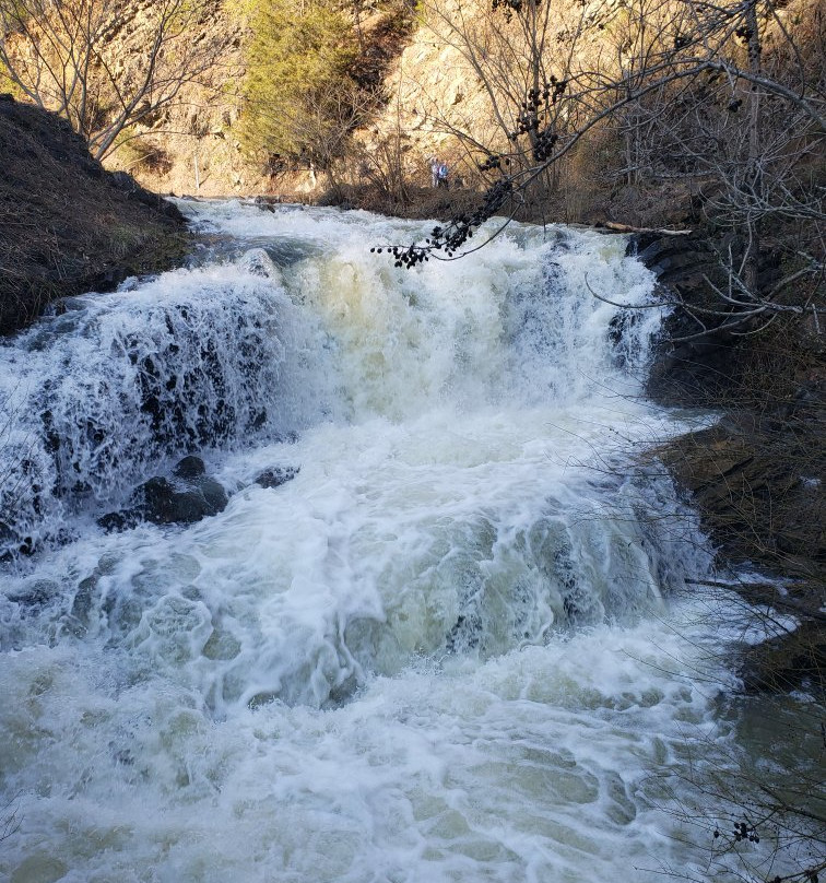 Steele Creek Park-布里斯托尔必去景点
