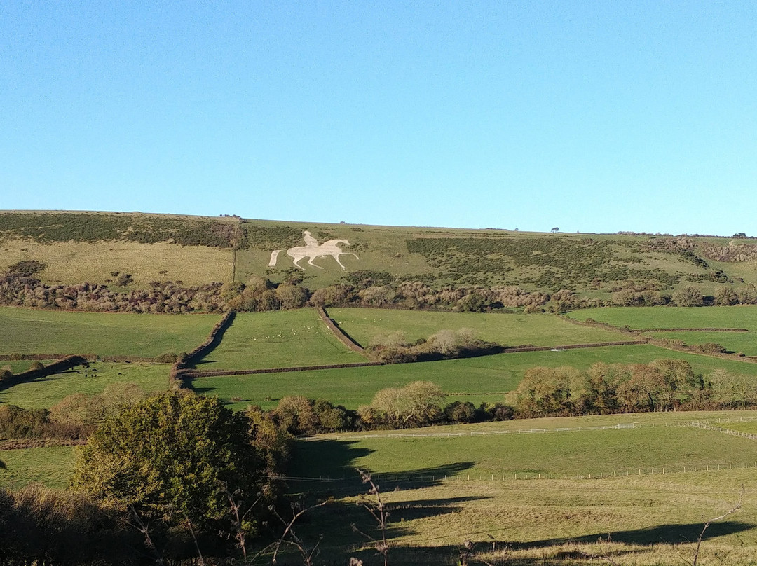 Osmington White Horse景点图片