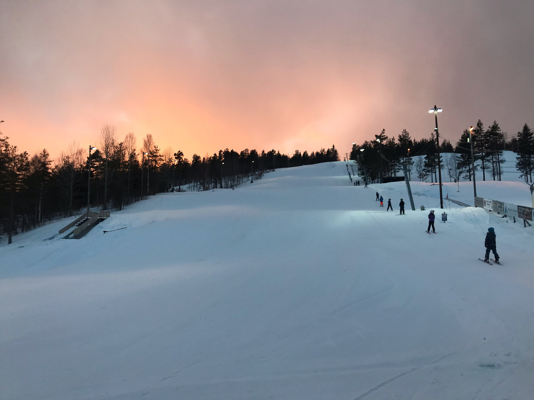 Vegarshei Ski og Aktivitetssenter-Vegarshei Municipality必去景点