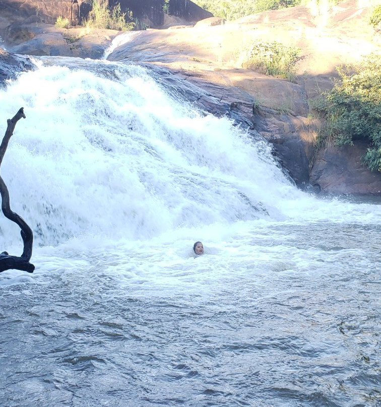 cachoeira de Taquaruçu景点图片
