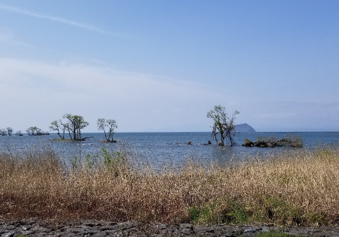 Biwako Waterfowl Wetland Center-长滨市必去景点