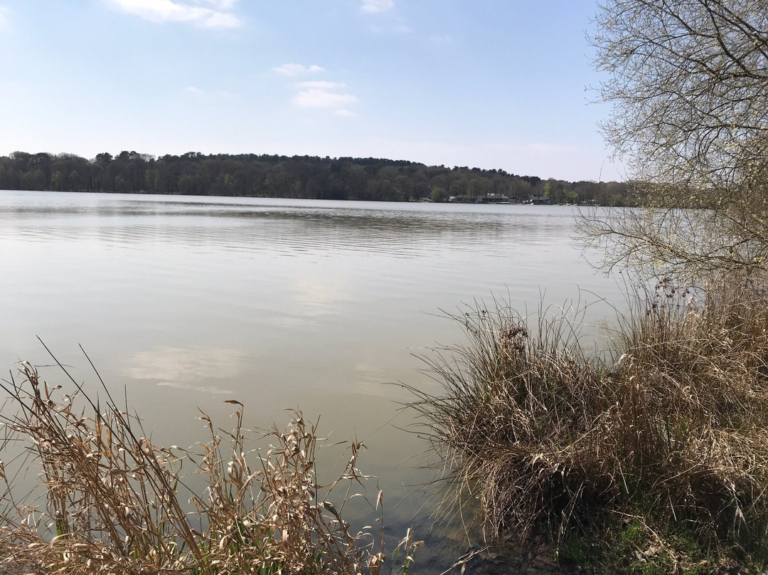 Lac de Sille景点图片