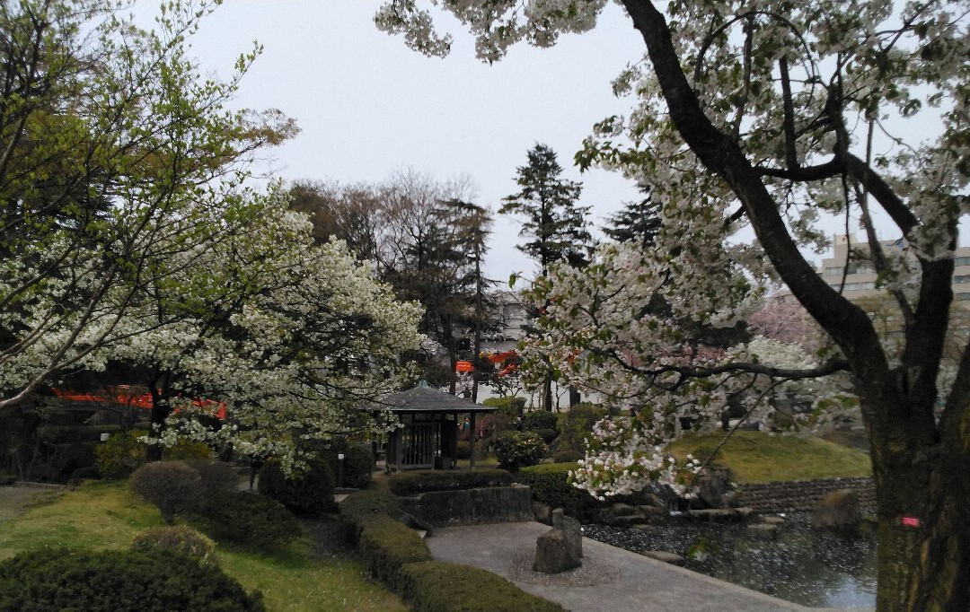 Matsukawa Park景点图片