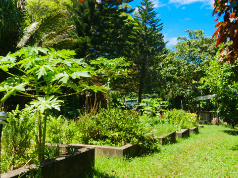 Hale Akua Garden Farm-海库必去景点