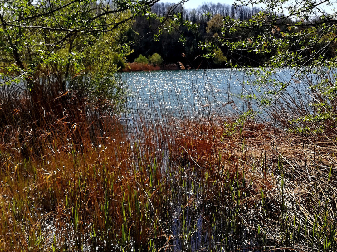 Lago di Giulianello景点图片