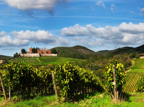 City Florence Tours-佛罗伦萨必去景点