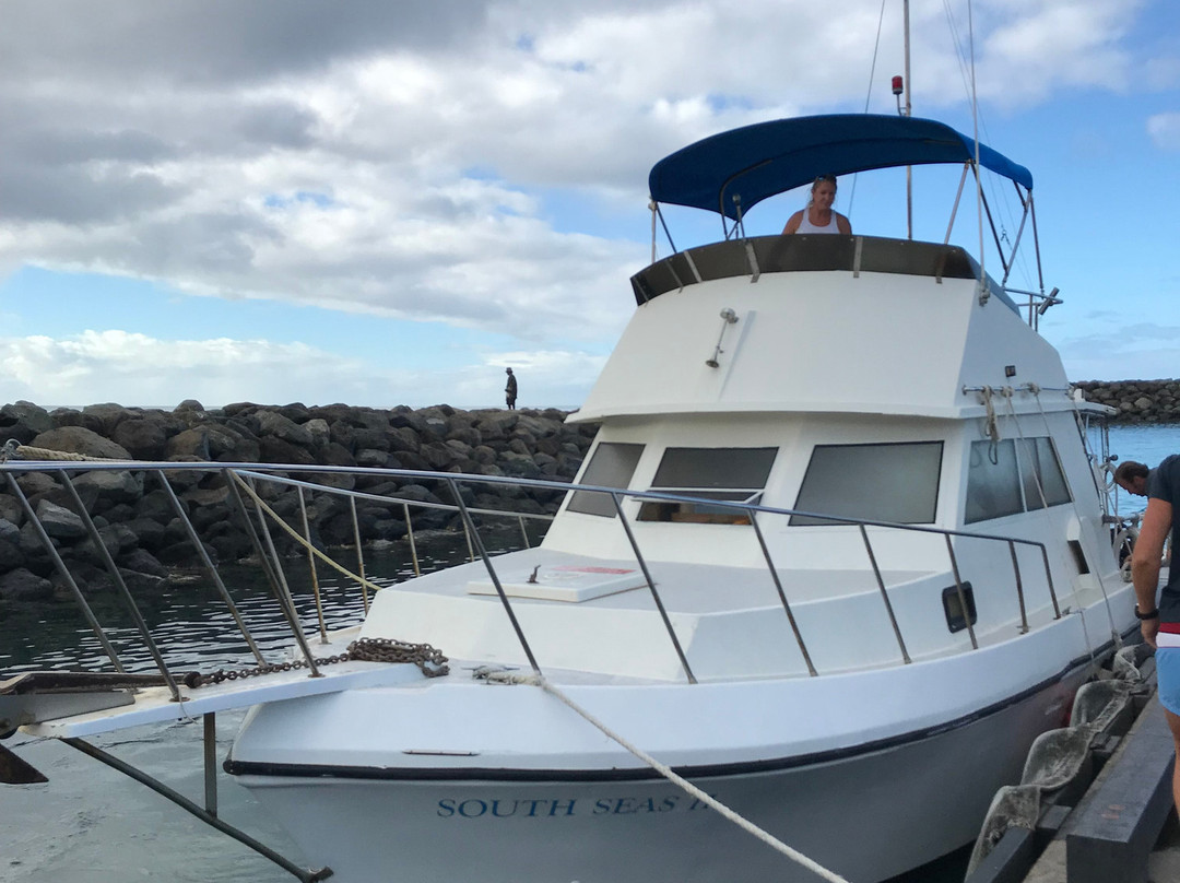 Underwater Oahu-怀厄奈必去景点